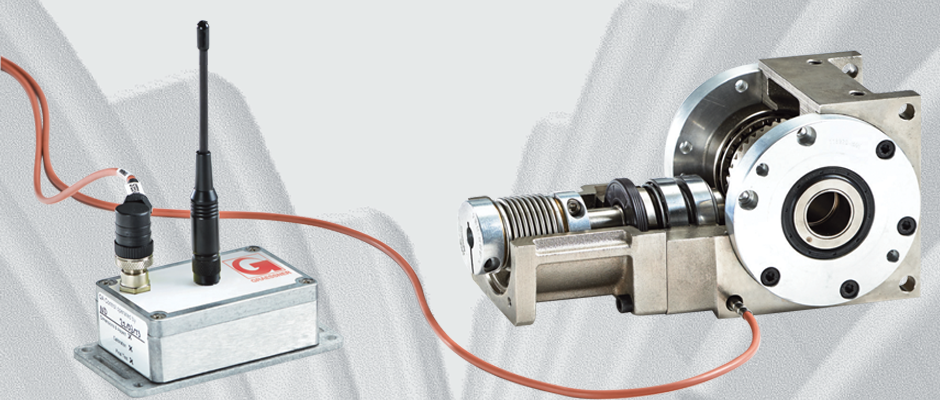 PT1000 Temperature Measuring System with sensors and wireless transmitter